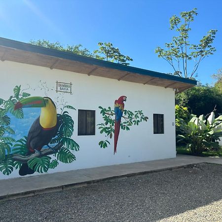 Bambura Bahia Villas Uvita Eksteriør billede