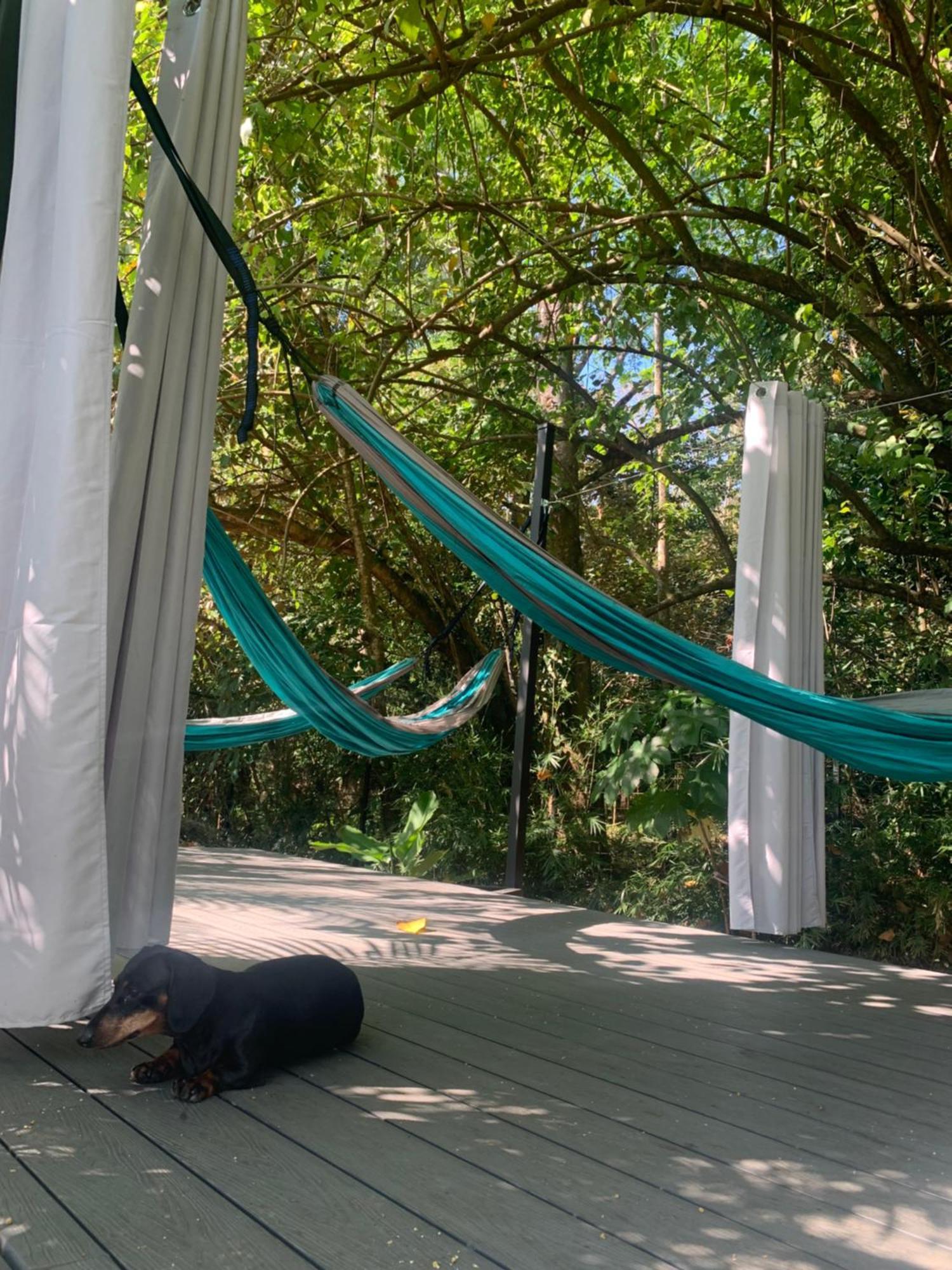 Bambura Bahia Villas Uvita Eksteriør billede