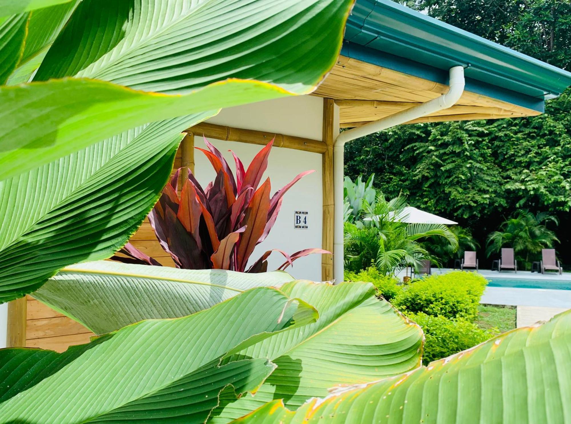 Bambura Bahia Villas Uvita Eksteriør billede