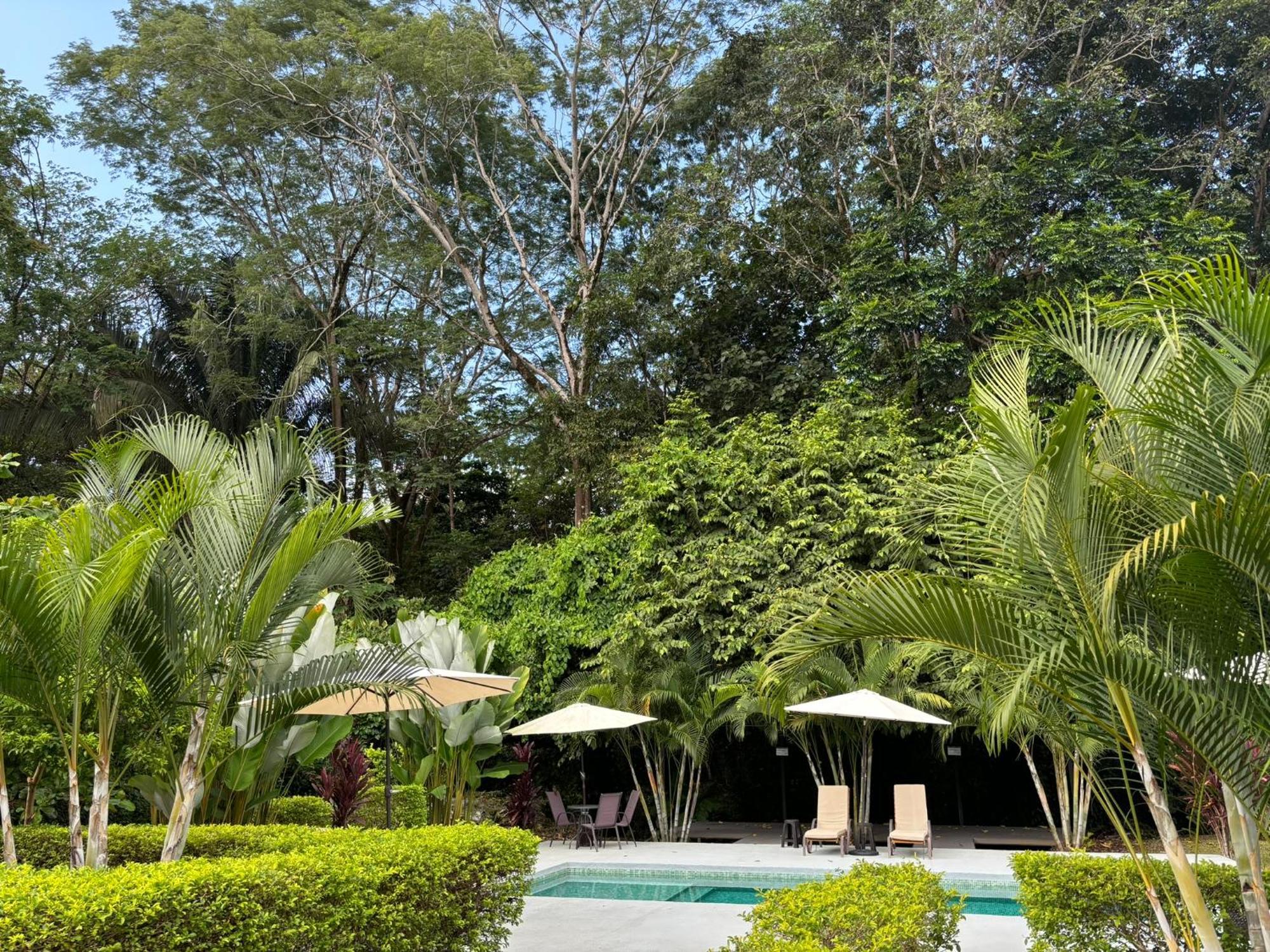 Bambura Bahia Villas Uvita Eksteriør billede